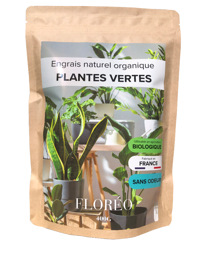 Engrais Floréo Plantes Vertes